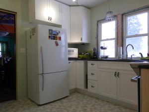 We choose a Fisher Paykel fridge. That manufacturer is known for environmentally friendly appliances. We've been very happy with our other Fisher Paykel appliances. 