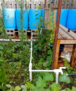 Our new rain barrel system collects 330 gallons. 