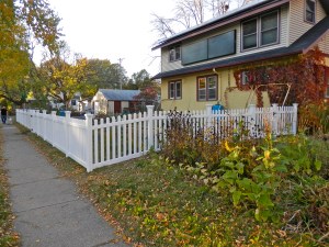 In 2014, we added a side yard fence. Now I can begin adding a shade flower garden within the border of a fence.